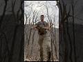 Giant Pennsylvania Public Land Buck Shed Antlers