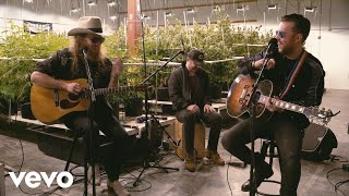 Brothers Osborne - A Couple Wrongs Makin&#39; It Alright (Terrapin Care Station Sessions)