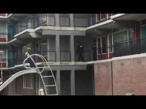 Politiehond gruwelijk gebeten tijdens inval!