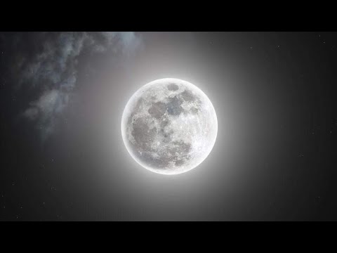 তোমার ভালোবাসা আমার পরিচয় তাই মানুষ আমারে কবি কয় / Cfu36,Syed Nafis- Maf Chai @Cfu36/ chill biker