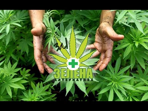 Ethan Russo | Cannabinoid Formulation and Prescription Pharmacological interaction of cannabinoids