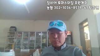 유튜브 썸네일