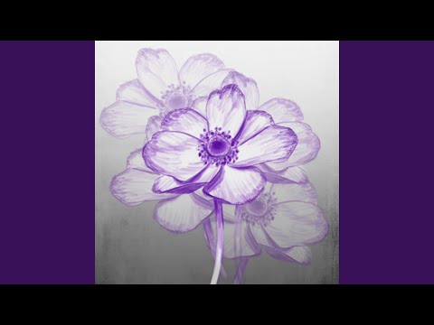 The Birthplace of a Disaster