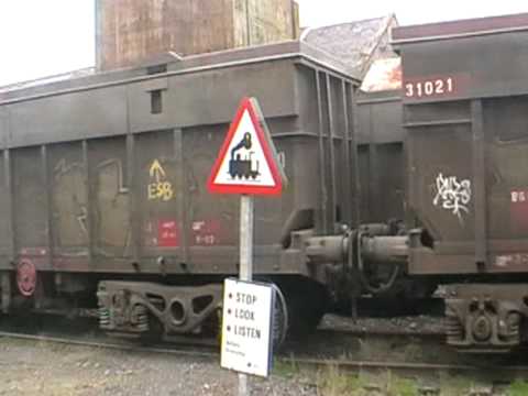 Irish Rail 071 locos 075 and 076 + Tara's passing at Navan