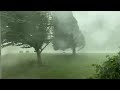 Powerful Derecho Destroys Trees