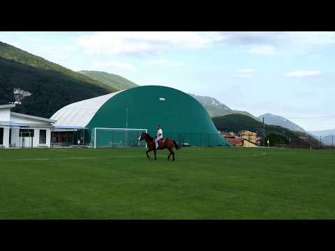Andare a cavallo su erba ibrida - Horse ride on hybrid grass POWERgrass