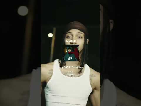 Bory 300 X DeadShot - EBS 元ネタ サンプリング