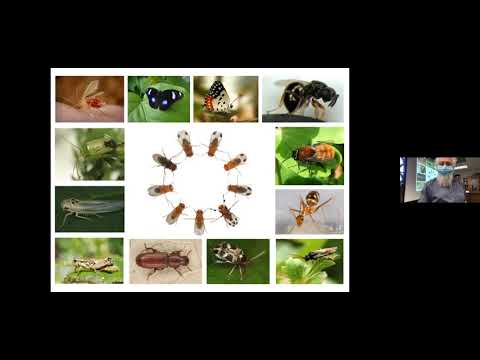 Dr. Michael Turelli--02-02-22