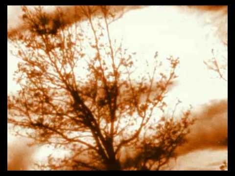 Mørk Skog - Calling of Kālī