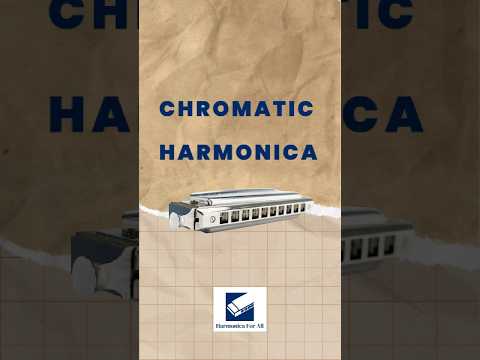 6 Harmonicas, 6 Different Types | The Harmonica Buyer's Guide