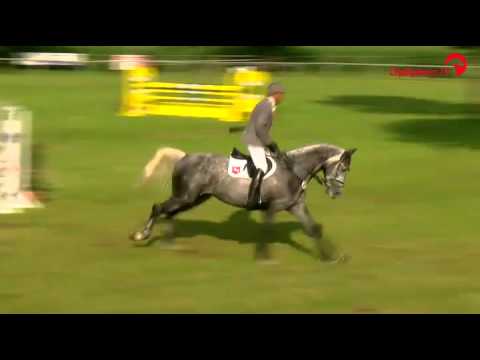 Clinton´s Heart Springpferdeprüfung Klasse M (Einlaufprüfung Quali. Bucha.)