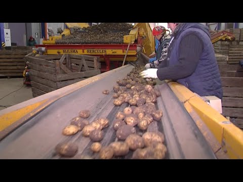 В регионе продолжают формировать стабилизационные фонды видео