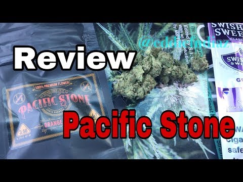 download lagu mp3 mp4 Pacific Stone, download lagu Pacific Stone gratis, unduh video klip Pacific Stone