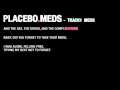 Placebo - MEDS Instrumental [1/13] 