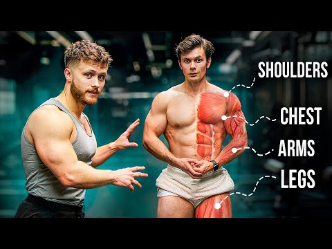 The Best Exercises For Every Muscle ft. Jeff Nippard
