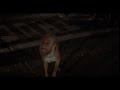 Invasion Of The Body Snatchers 1978 Man Dog