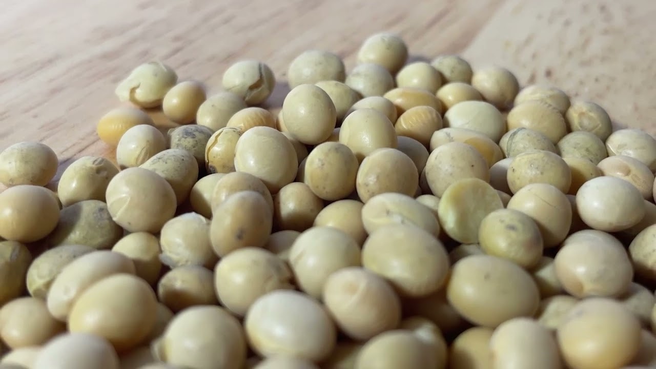 Vorschau: Tasty Pott Bio Sojabohnen ganz 1000g Beutel