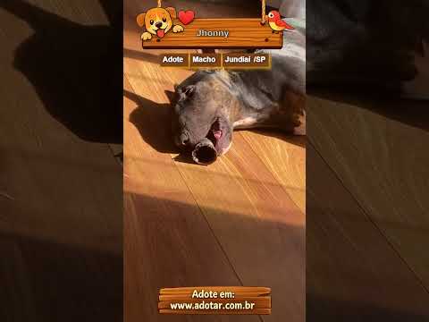 Vídeo de Jhonny
