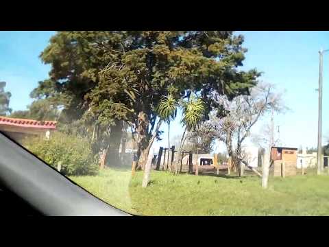 PASO DE LOS NOVILLOS, DEPARTAMENTO DE FLORIDA - La Macana "Corazón del Mundo"