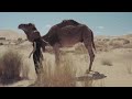 DISCOVER ERITREA