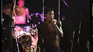Guana Batz - Shake Your Money Maker - (Live at the Klub Foot, London, UK, 1987)