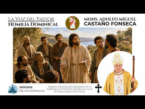 Homilía Dominical: Cuidado de nuestros hermanos | Mons. Adolfo Miguel (6 de septiembre 2026)