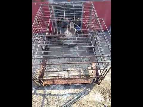 19 de febrero de 2026