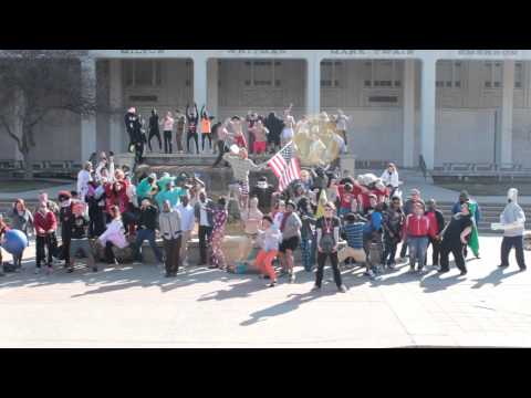 Harlem Shake - SEMO Version ( Southeast Missouri State University)