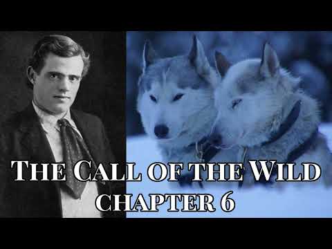 The Call of the Wild by Jack London - Chapter 6 Audiobook (1903)