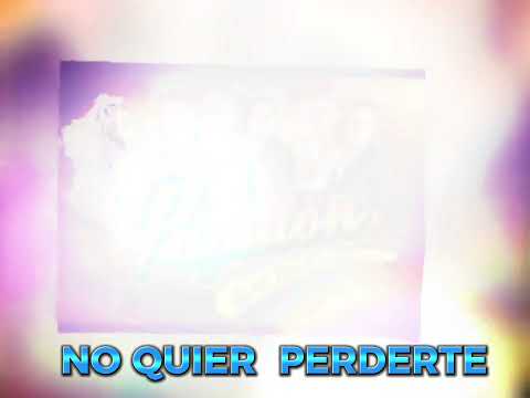 no quiero perderte papillon