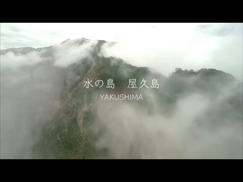 【私のイチ推し鹿児島コンテスト 最優秀賞】 水の島　屋久島