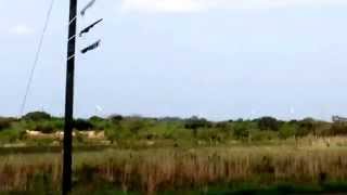 preview picture of video 'Molinos de energía eólica, Penonomé, Panamá'