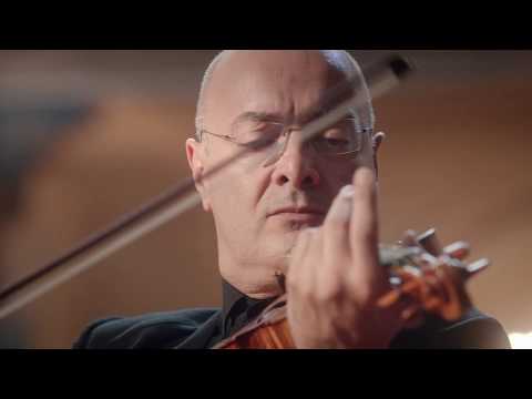 SCHUBERT | Symphony no. 5 | Netherlands Chamber Orchestra