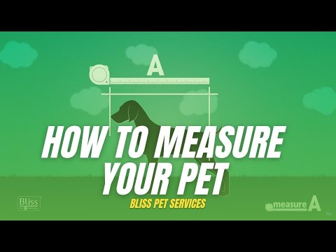Tutorial: How To Measure Your Pet So As To Choose The Correct Travel Crate
