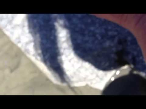 Hiking to Herbert Glacier and gathering Glacial water to dr