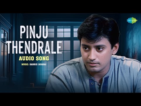 Pinju Thendrale - Audio Song | Majunu | Prashanth | Rinke Khanna | Harris Jayaraj