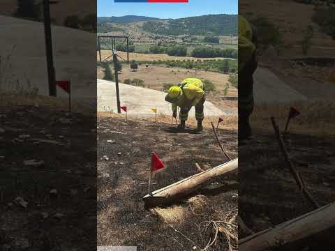 Unidad de Análisis y Diagnóstico de CONAF Maule investiga incendio, en comuna de Pencahue #shorts