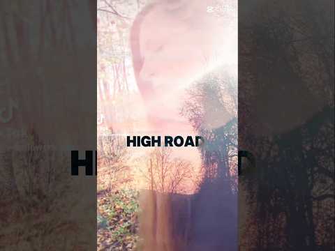 High Road 🎵 #fypyoutube #highroad #youtubeshort #musictherapy #capcut #capcutedit #wildflowertea