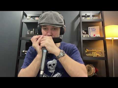 Ultimate Practice Hack - Chromatic Harmonica