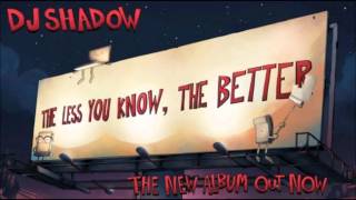 DJ Shadow - Run For Your Life