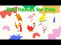 Bird Names For Kids Bird Flashcards Canary Ibis Flamingo Learning ABC Phonics And Sounds
