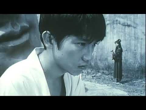 Sublunar Express - Night Tortoise