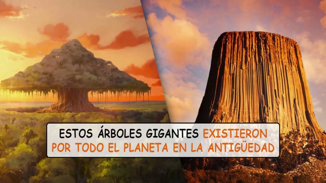 Árboles gigantes de silicio.