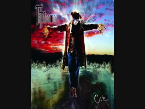 Tetriconia - Shame