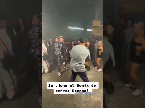 Kaleb Di Masi Perreo Rossani 2 #perreorossani #elrossani #cottorng #papichamp#Rjota #tirrilaroca