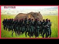 Askari 392 Wahitimu Mafunzo Ya Wanyamapori Profesa Sedoyeka Atoa Neno Ukakamavu Wawavutia Wengi