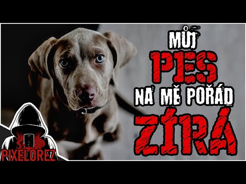 Můj pes na mě pořád zírá - Creepypasta [CZ]
