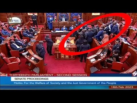 LIVE:DRAMA IN  SENATE AS UDA AND AZIMIO SENATORS COLLIDES AFTER OVER FINANCE BILL DEBATE!!!