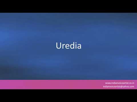 Pronunciation of the word(s) "Uredia".