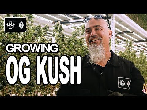 We Met the Grower Who Created OG Kush 👑 | Josh D x RYTHM